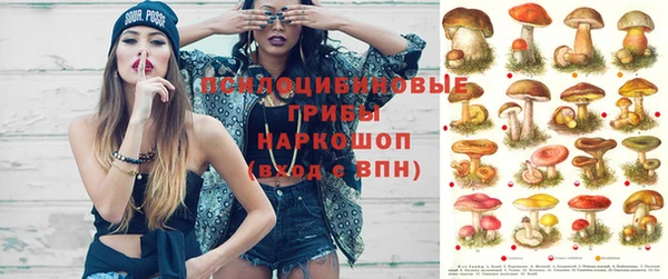 бошки Красноперекопск