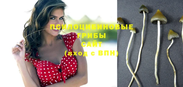 бошки Красноперекопск