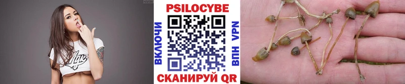 Псилоцибиновые грибы Cubensis  Купить  Большой Камень 